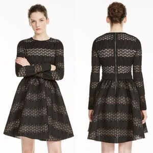 Maje Relane Lace-inset Fit-and-flare Long Sleeve Dress
